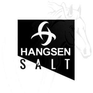 Nic Salt  - 10ml Hangsen