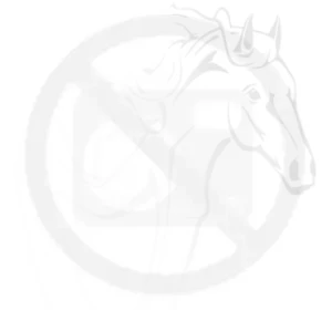 IVG 15 Pack 50/50 E-Liquids